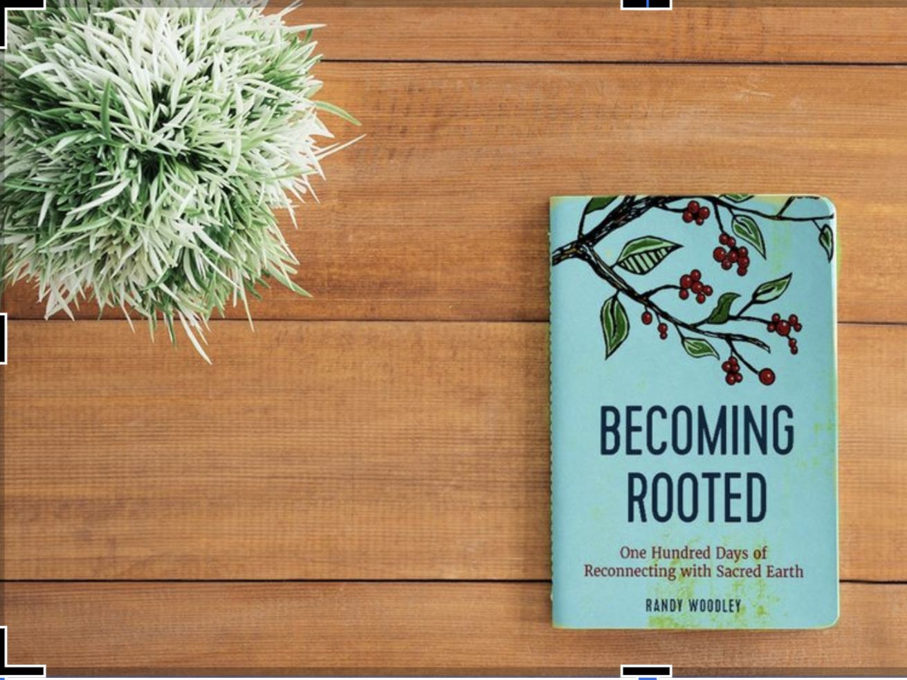 becoming rooted by randy woodley